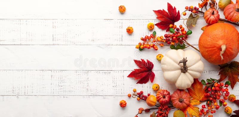 DecoraciÃ³n festiva de otoÃ±o con calabazas, bayas y hojas sobre un fondo de madera blanca. Concepto del DÃ­a de AcciÃ³n de Gracia
