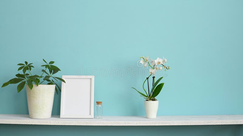 Decoración moderna del sitio con la maqueta del marco El estante blanco contra la pared en colores pastel de la turquesa con la