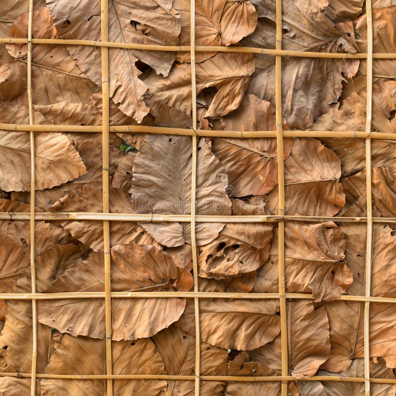 Decorate Walls Dry Leaves Background Stock Photos Free & RoyaltyFree