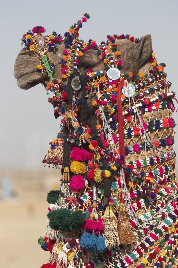 Decorated Camel stock image. Image of colorful, camel 4434049
