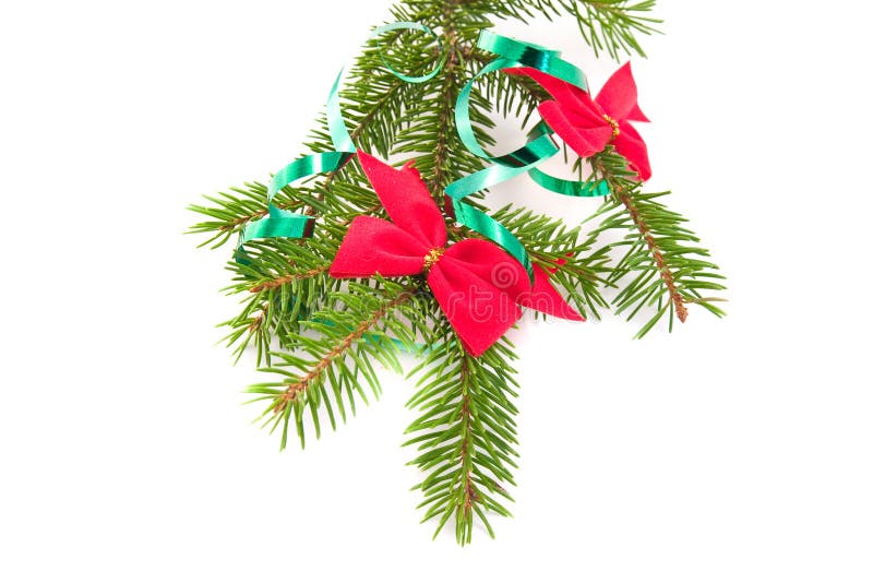 Decorated Christmas Tree Branch Stock Photo Image of ornament, festive 7393726