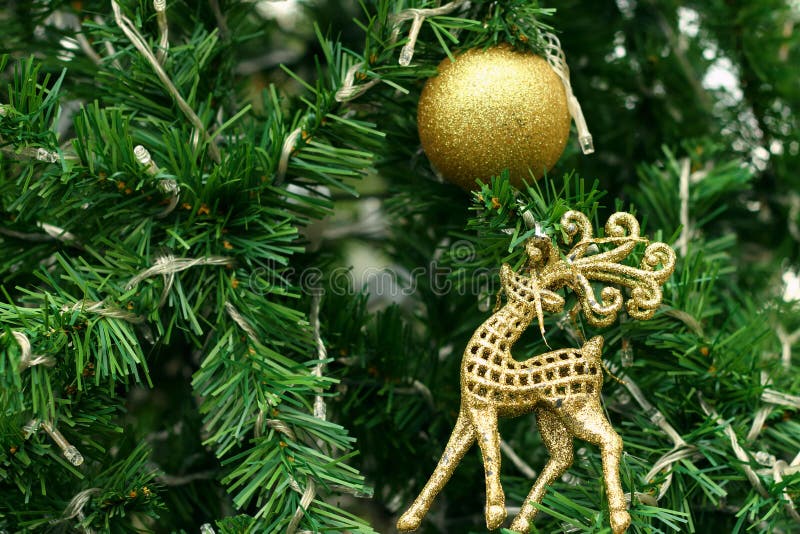 Decorated Christmas Tree on the Eve of Christmas Day Stock Image