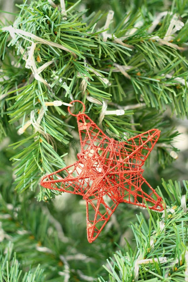 Decorated Christmas Tree on the Eve of Christmas Day Stock Image