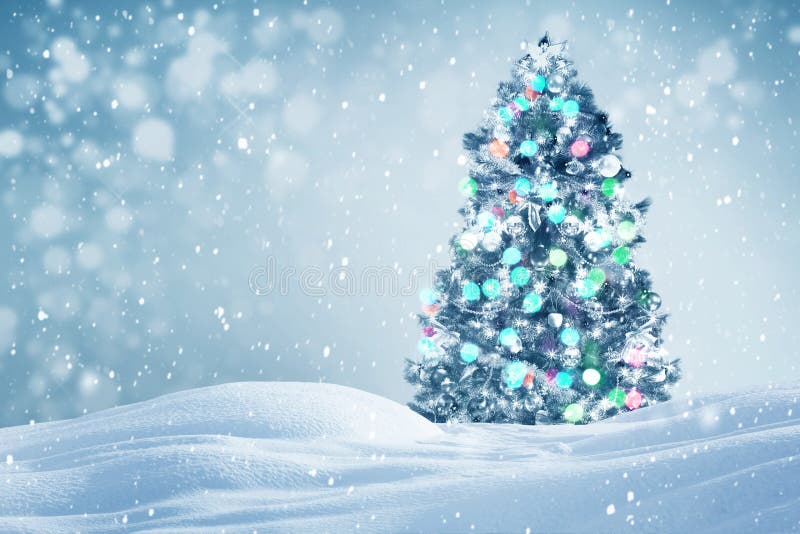 Christmas Tree Outdoors Background Stock Image - Image of snowfall ...