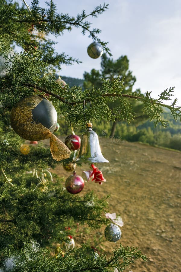 Decorated Christmas Tree in the Forest Stock Image Image of december
