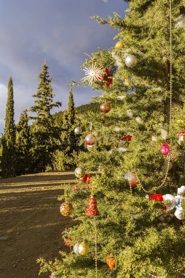Decorated Christmas Tree in the Forest Stock Image Image of