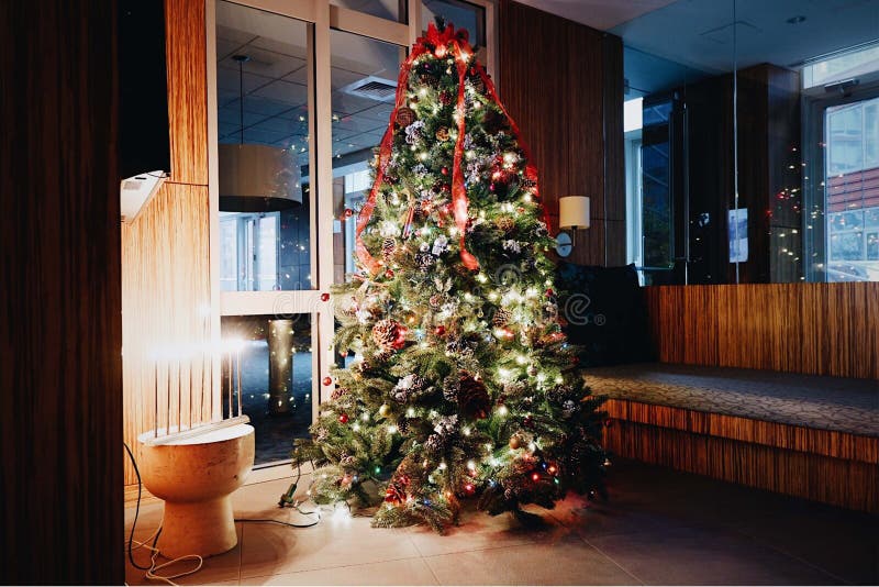 Decorated Christmas Tree and Menorah Display Stock Image Image of