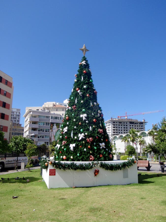 Decorated Christmas Tree in Park Editorial Photography Image of juan