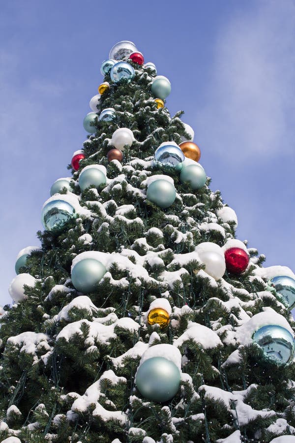 Decorated Christmas Tree with Snow Stock Image Image of firtree