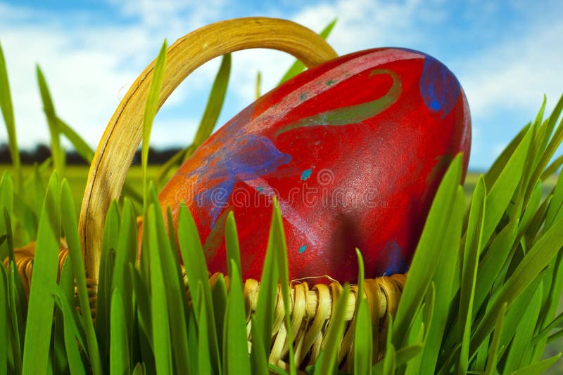 Decorated Easter Egg in Basket Stock Image Image of plant, design