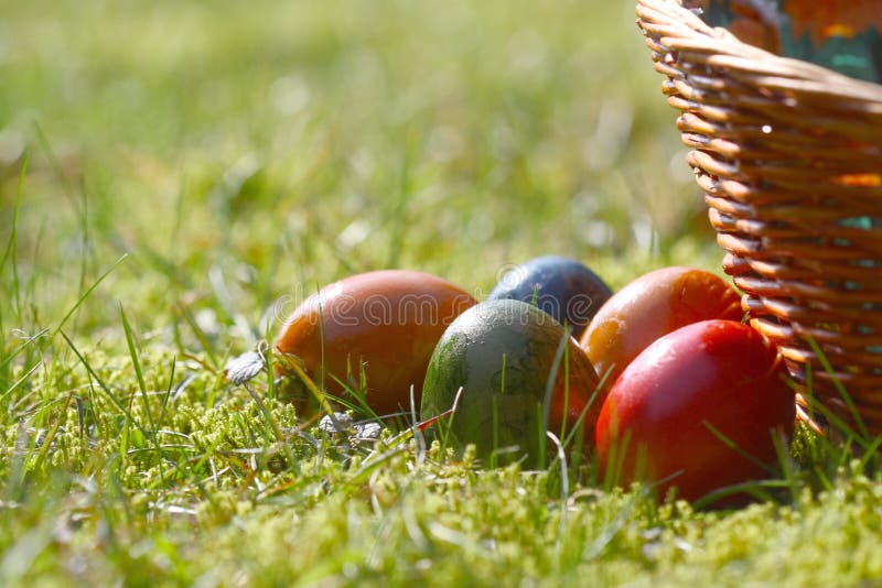 Decorated easter eggs in the grass stock photo