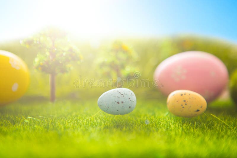 Decorated easter eggs in green grass on sunset sky background. royalty free stock photography