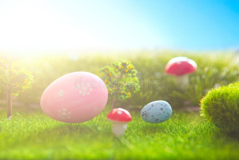 Decorated easter eggs in green grass on sunset sky background. stock images