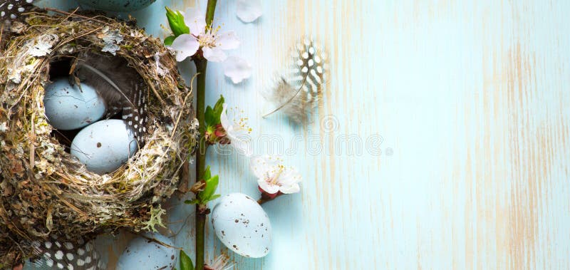 Decorated Easter eggs in nest and spring flower on table background stock photos
