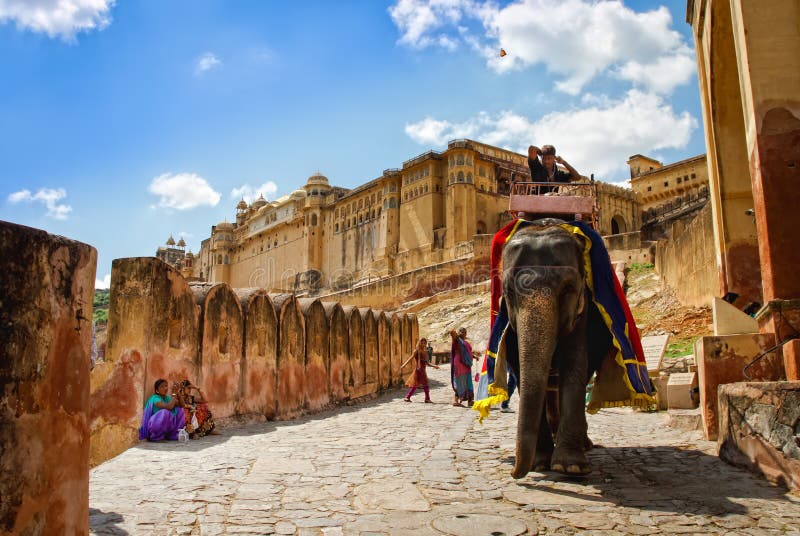 Decorated elephant carry driver in Amber Fort, Jaipur, Rajasthan, India.