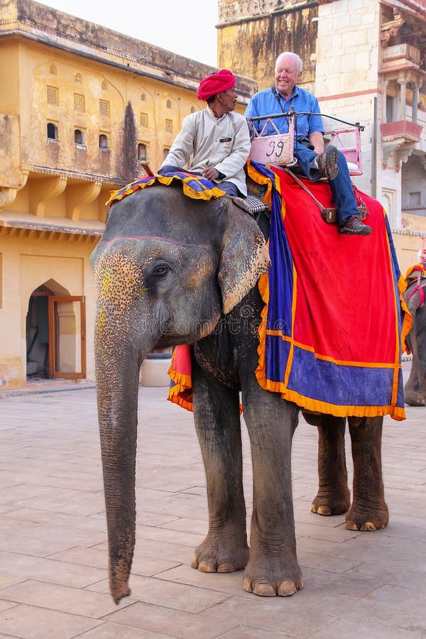 elephant with tourist
