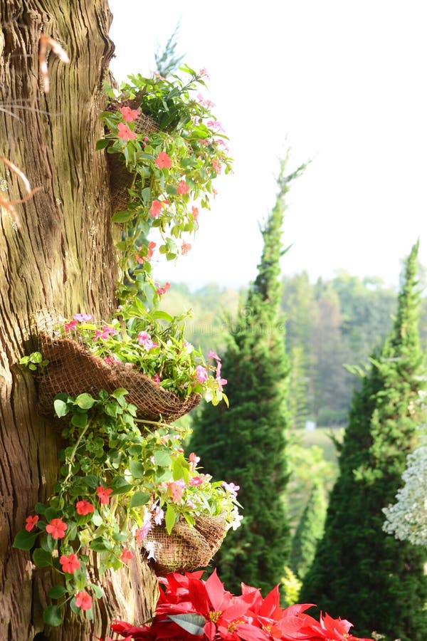 Decorated flower stock image. Image of decorated, decoration 49587497