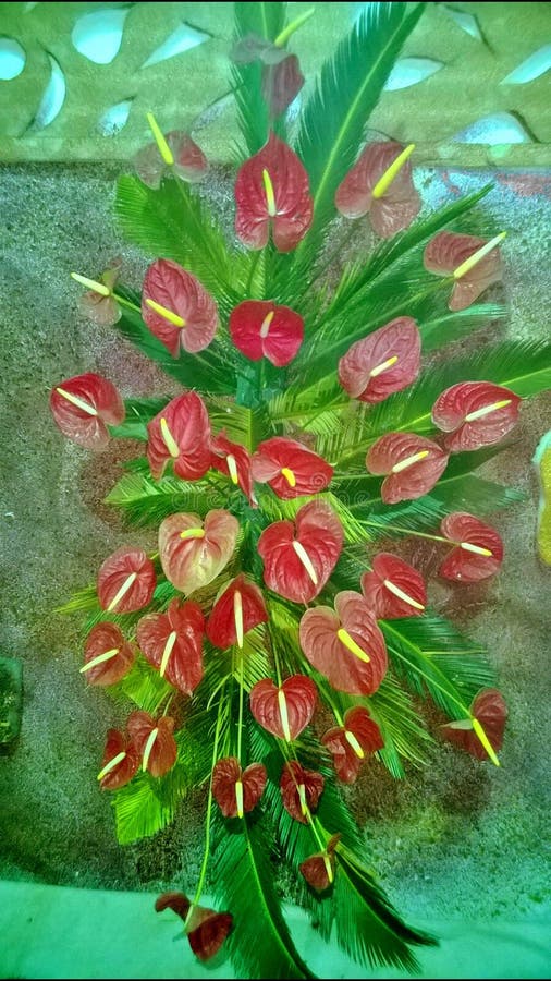 Decorated red flowers stock photo. Image of flowers, stunning 49649240