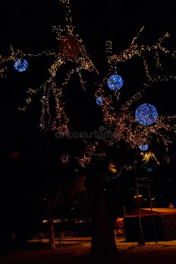 City Park Christmas Lights 