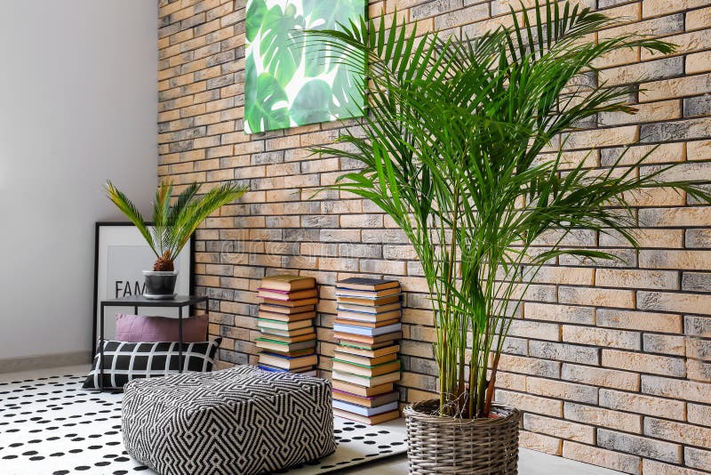 Decoratieve Areca-palm in het interieur van een kamer stock foto