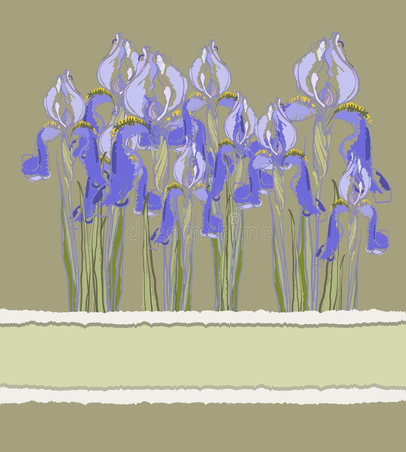 Decoratieve patroonuitnodiging met Irisbloemen, illustratie stock illustratie Decoratieve patroonuitnodiging met Irisbloemen, illustratie stock illustratie