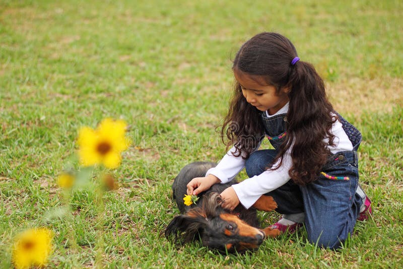 Carino felice ispanica ragazza mettendo un girasole in cani di capelli.