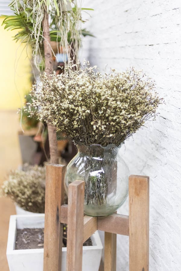 Dried Flowers In Glass Vase Stock Image Image of glass, poppy 5357699