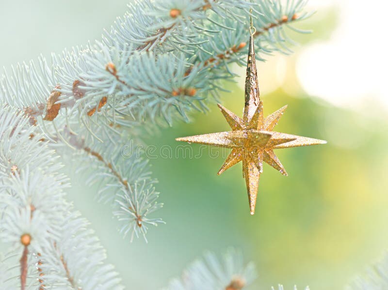 Decoration with Christmas star