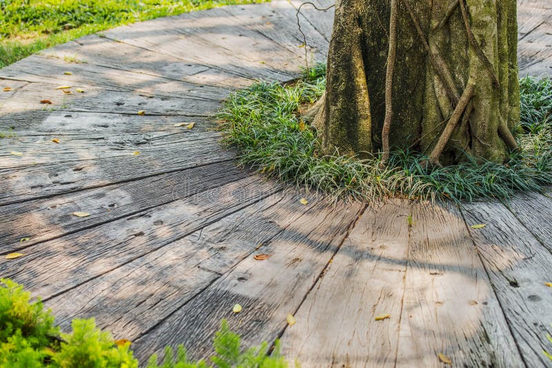 Decoration footpath and grass in the garden royalty free stock photos Decoration footpath and grass in the garden royalty free stock photos