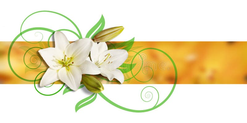 Decoration of Lilies and ornament royalty free illustration