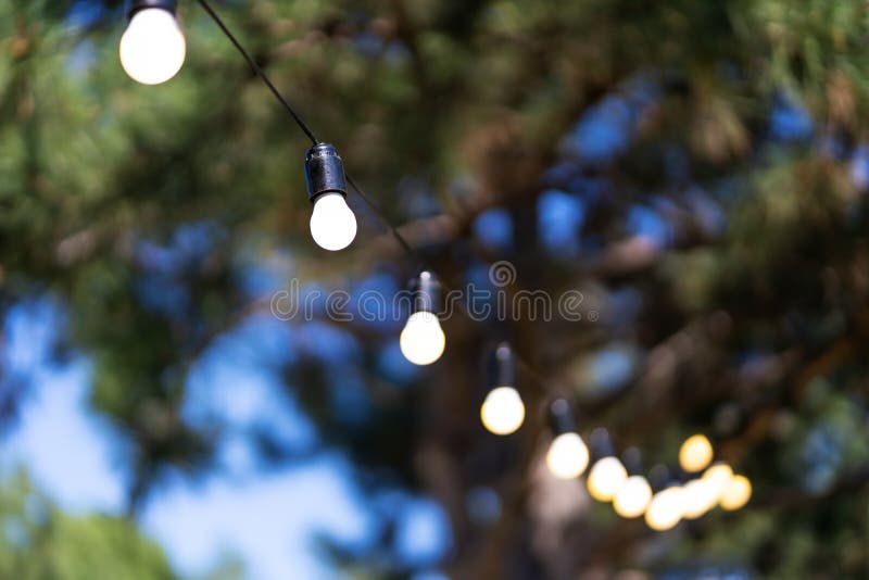 Decoration for an outdoor party. A garland of light bulbs hanging between the trees