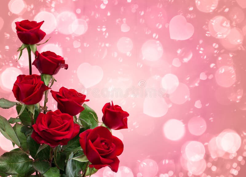 Decoration of Valentine Day. Flowers red roses on a defocused blur background with hearts with space for text