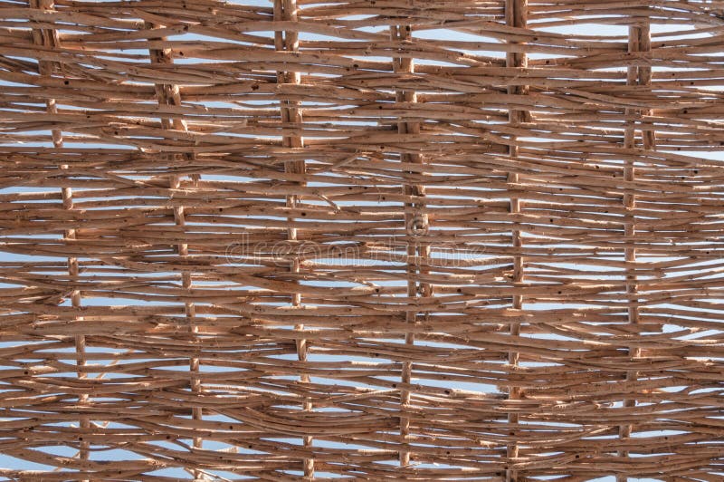 Decoration Wall with Natural Twig Weaving Pattern Stock Image Image