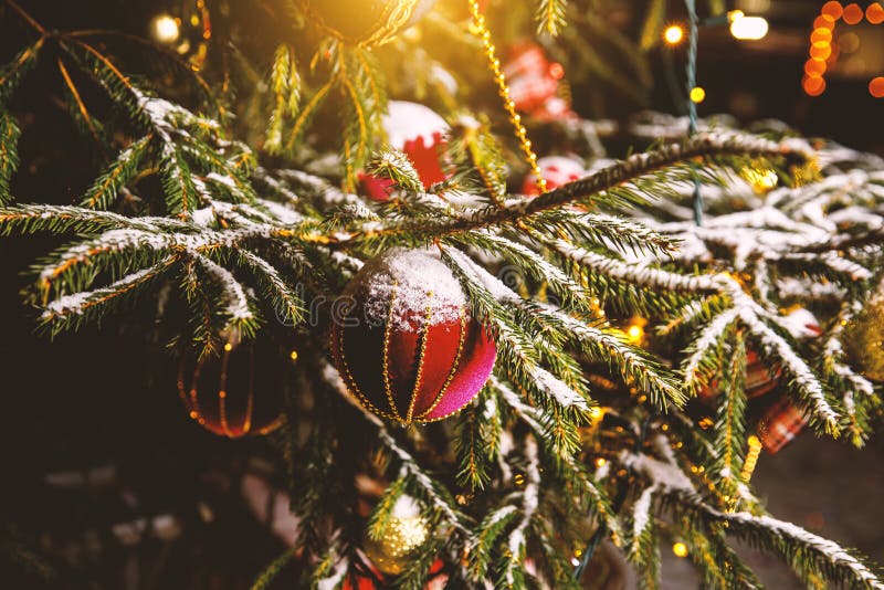 Decorations on a Real Christmas Tree. Winter Background Stock Photo - Image of evergreen, christmas: 157842868 Decorations on a Real Christmas Tree. Winter Background Stock Photo - Image of evergreen, christmas: 157842868