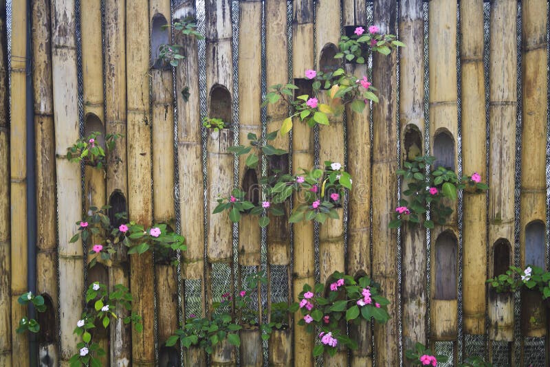 Decorative bamboo fence stock photo. Image of building 25346328