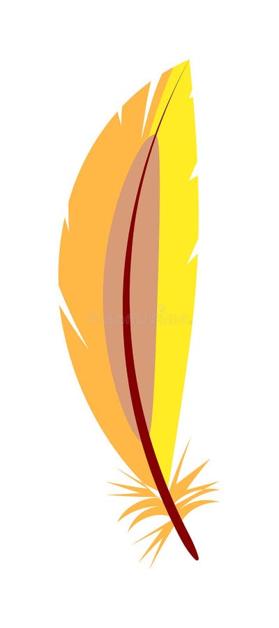 Decorative bird feather isolated on white background. Colored decorative bird feather isolated on white background