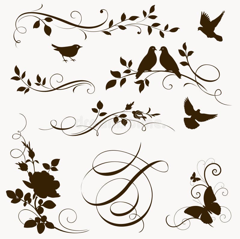 Calligraphic floral elements with doves, butterfliy and roses. Calligraphic floral elements with doves, butterfliy and roses