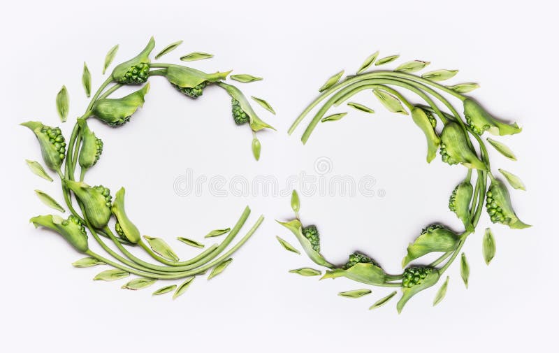 Decorative botanical flower double wreath frames made of green different flowers and leaves, flat lay stock image