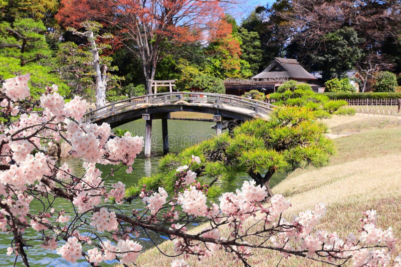 Decorative bridge in Koishikawa Korakuen garden, Okayama, Japan