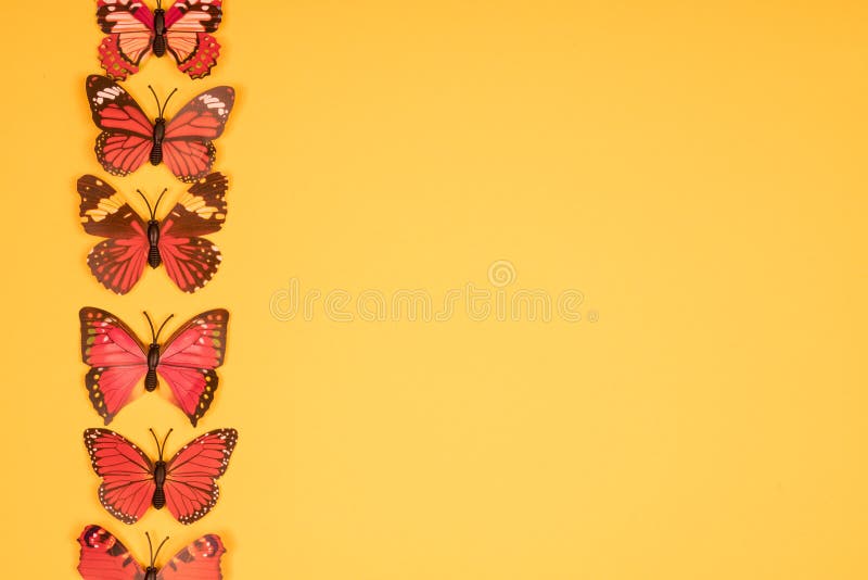 Butterfly Zentangle Stock Photos - Free & Royalty-Free Stock Photos ...