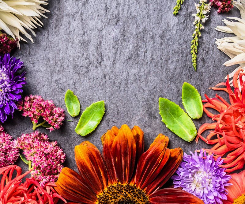 Decorative composition of autumn colors on dark slate background , top view