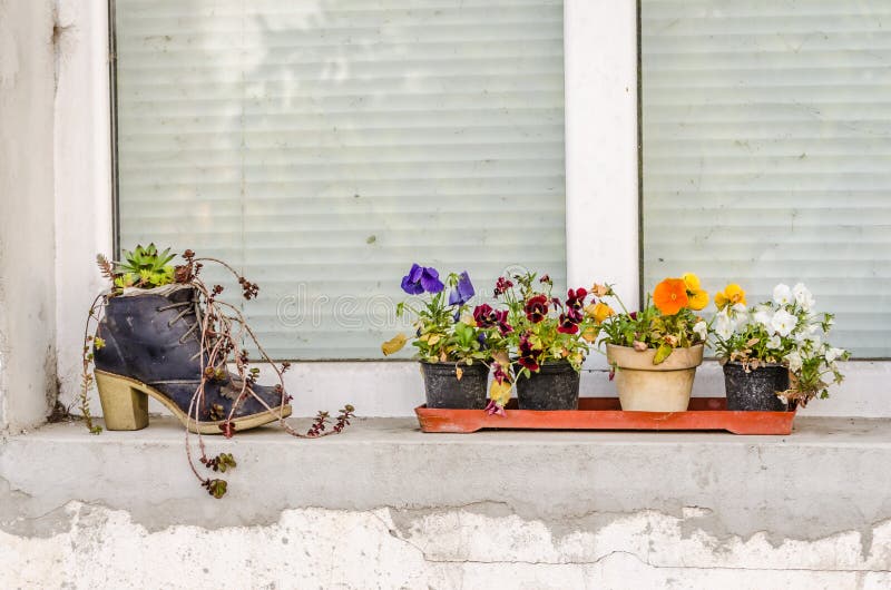 Decorative, Creative Flower Pots on the Window Stock Photo Image of
