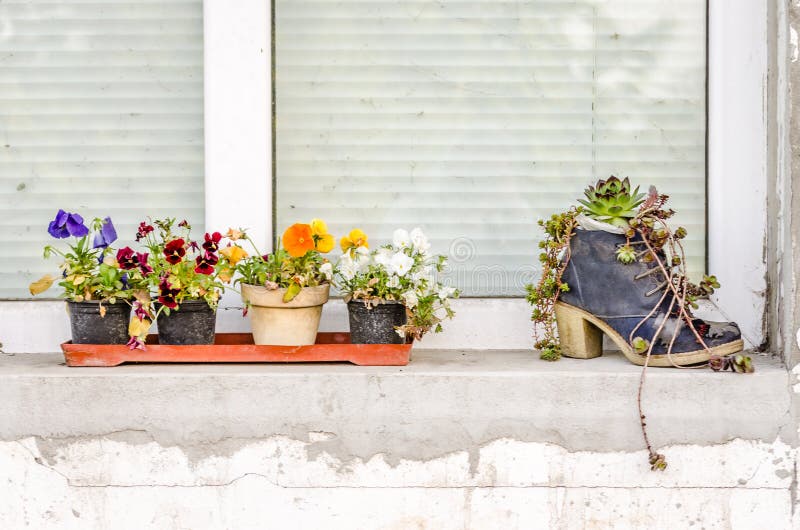 Decorative, Creative Flower Pots on the Window Stock Photo Image of