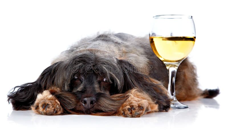 Decorative dog with a wine glass