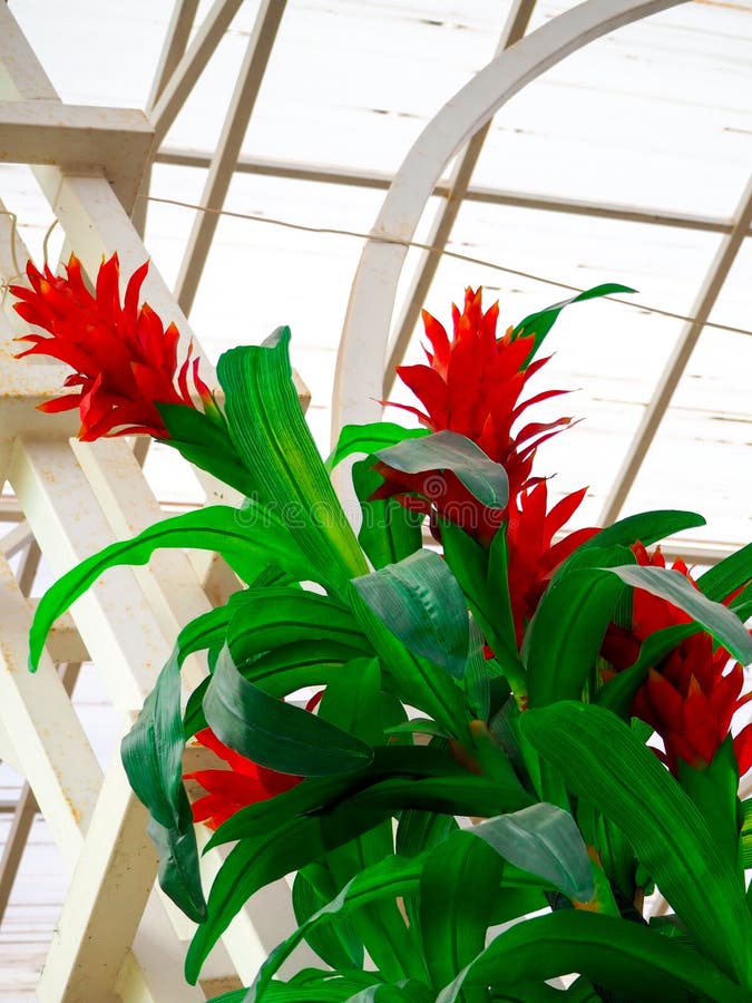 Decorative Elements Made of Artificial Materials and Special Plants