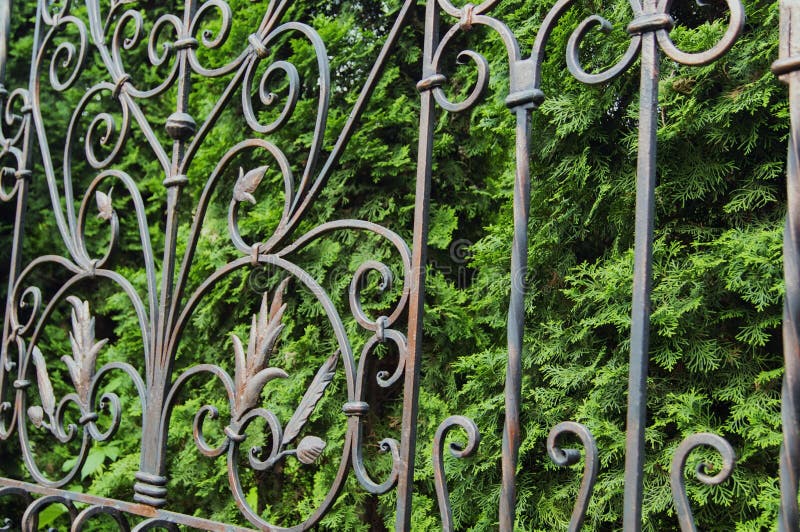 Decorative Elements of a Metal Forged Fence Stock Photo - Image of ...