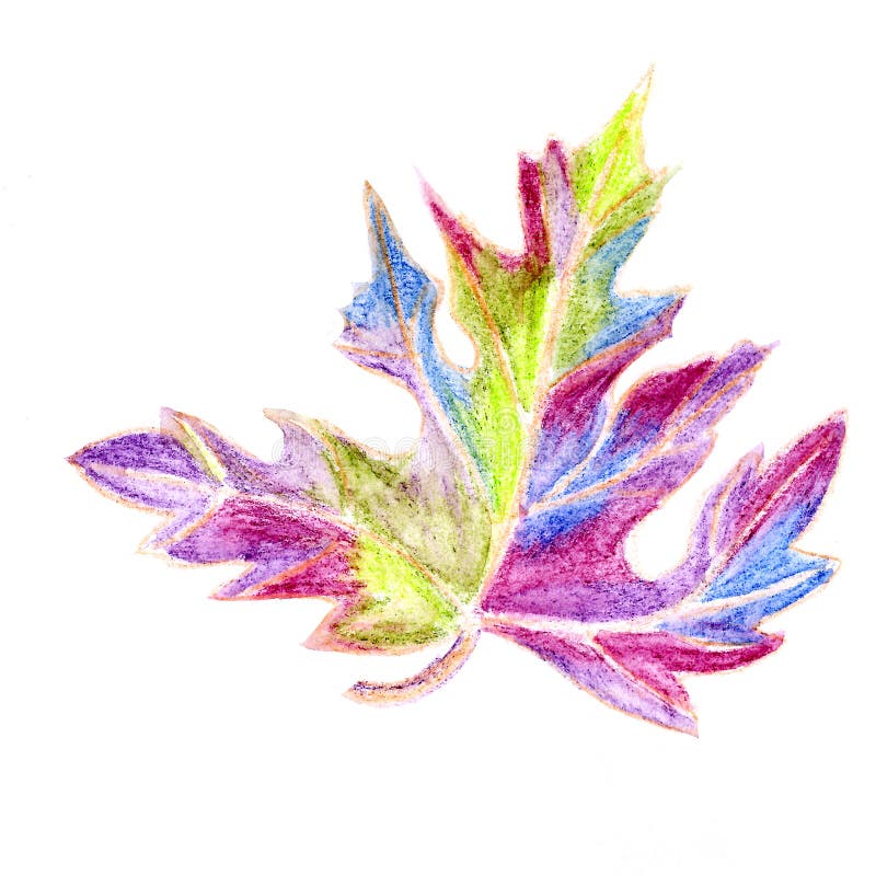 Decorative exquisite lilac, green, blue maple leafs on a white background vector illustration