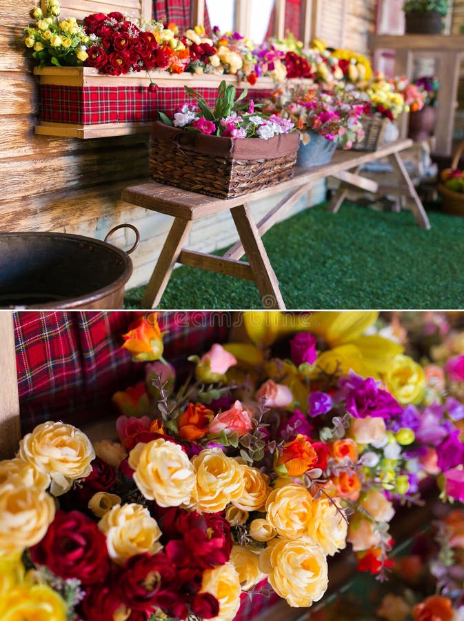 Decorative flowers by sea stock image. Image of blooms 23031493