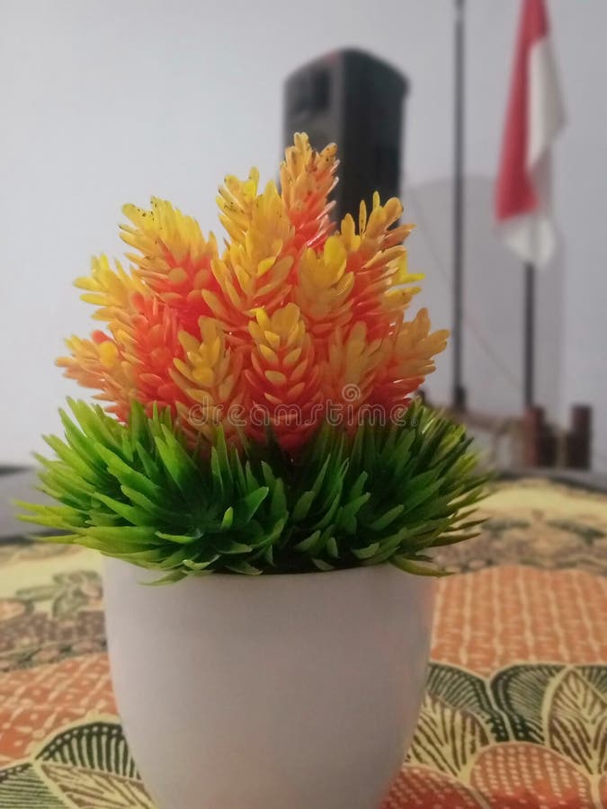 Decorative Flowers To Beautify Your Desk Stock Image Image of desk