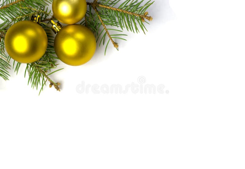 Decorative Gold Balls on the Christmas Tree Branch Stock Photo Image